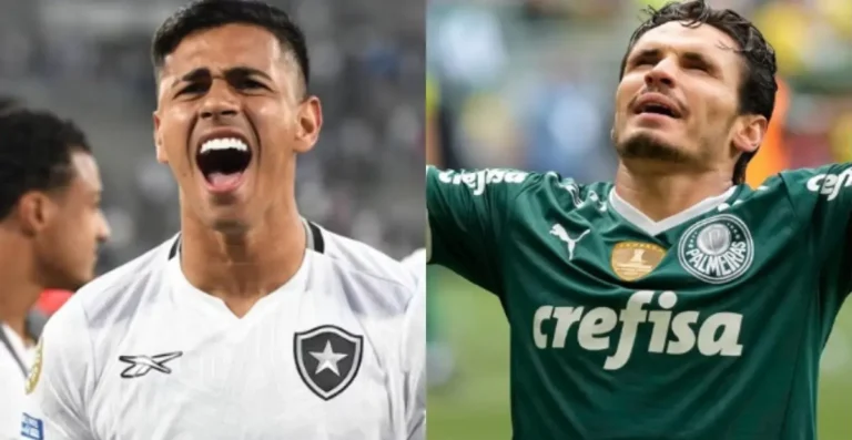 palmeiras vs botafogo